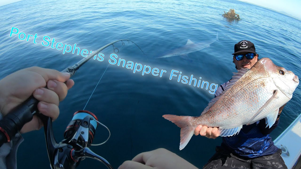 Port Stephens Snapper Fishing