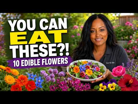 10 Edible Flowers That Actually Taste Good ๐ธ Beautiful Flowers You Can Eat