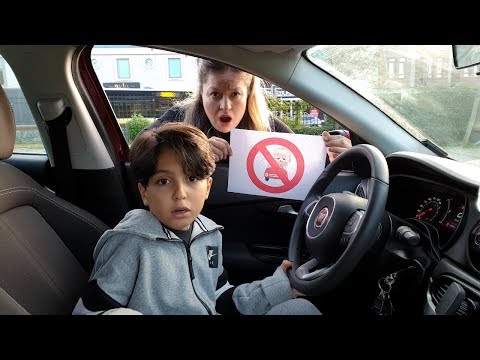 वीडियो: बच्चे और पालतू जानवर: सरल नियम