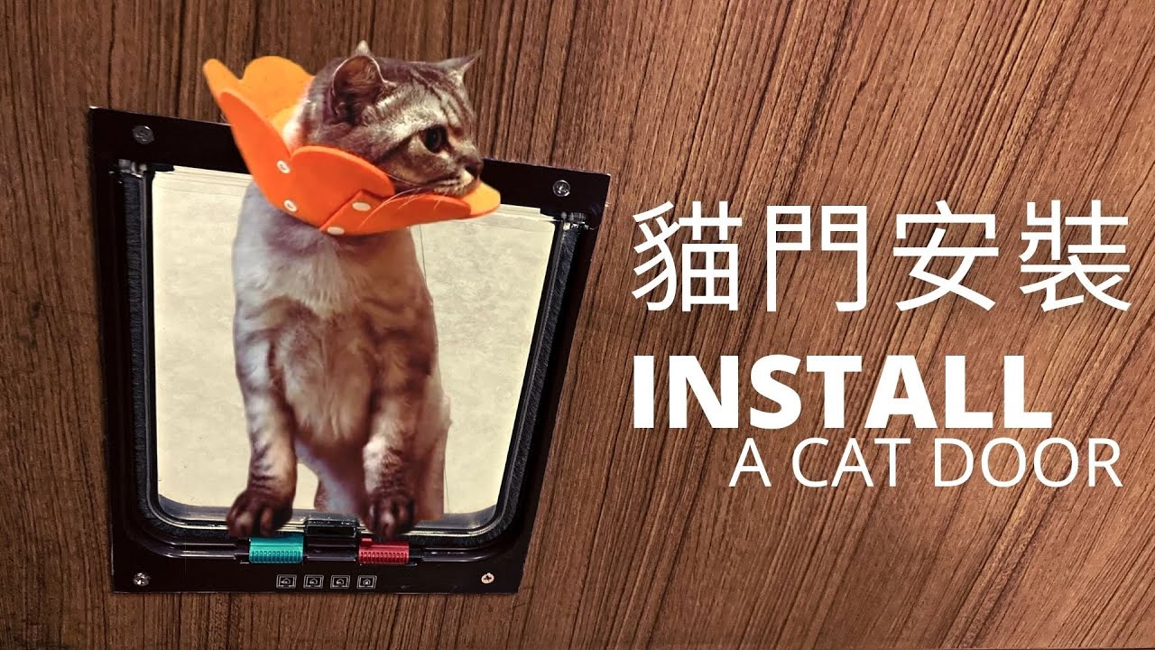 貓門安裝｜Install a Cat Door｜淘寶好物 YouTube