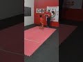 KAJUKENBO 🥋 #karate #diversion #taekwondo #carlitos #artesmarciales #shorts #jujitsu #kempo