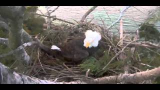 Information WR-Dad-830Pst.wmv Update