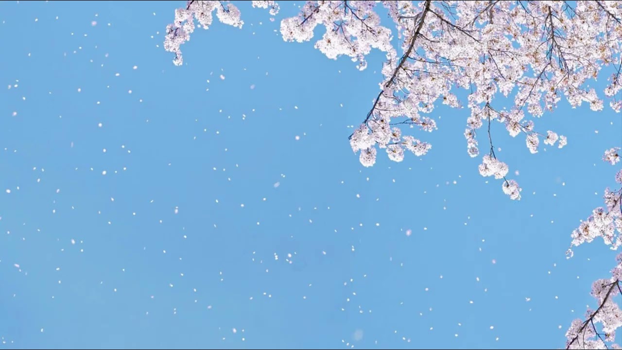 봄은 꼭 올거니까, 나에게도