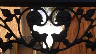 Celebrity COM 128 Visual Elements E Newton Net Worth