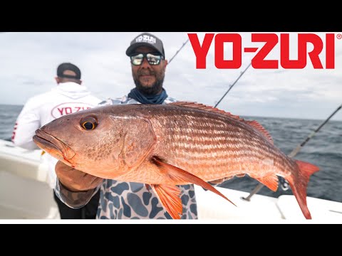 Fishing For Snapper and Tuna in Panama!! (Panama Day 2)