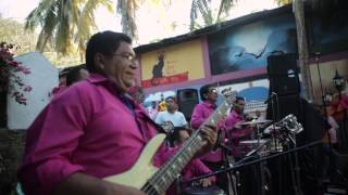 (HD) ALFREDO GUTIERREZ / FESTIVAL EN GUARARÉ : AMPLIFICADO (SABANAS DE BELTRÁN, SUCRE, COLOMBIA) chords