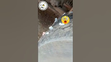 Entah Apa Yang Merasukimu😆🤣 #shortsyoutube #shorts