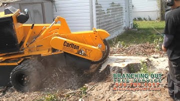 Branching Out Tree Service TV Commercial