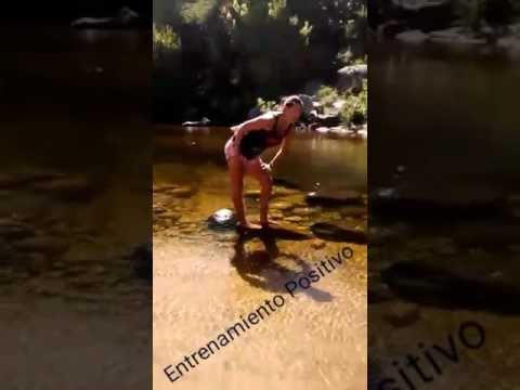 Entrenamiento Positivo. Vídeo 21 camera iphone 8 plus apk