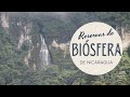 Conoce las RESERVAS DE BIOSFERA que posee Nicaragua | Notas de un Aventurero