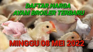 Harga Ayam Broiler Hari Ini Jum'at 06 Mei 2022. 
