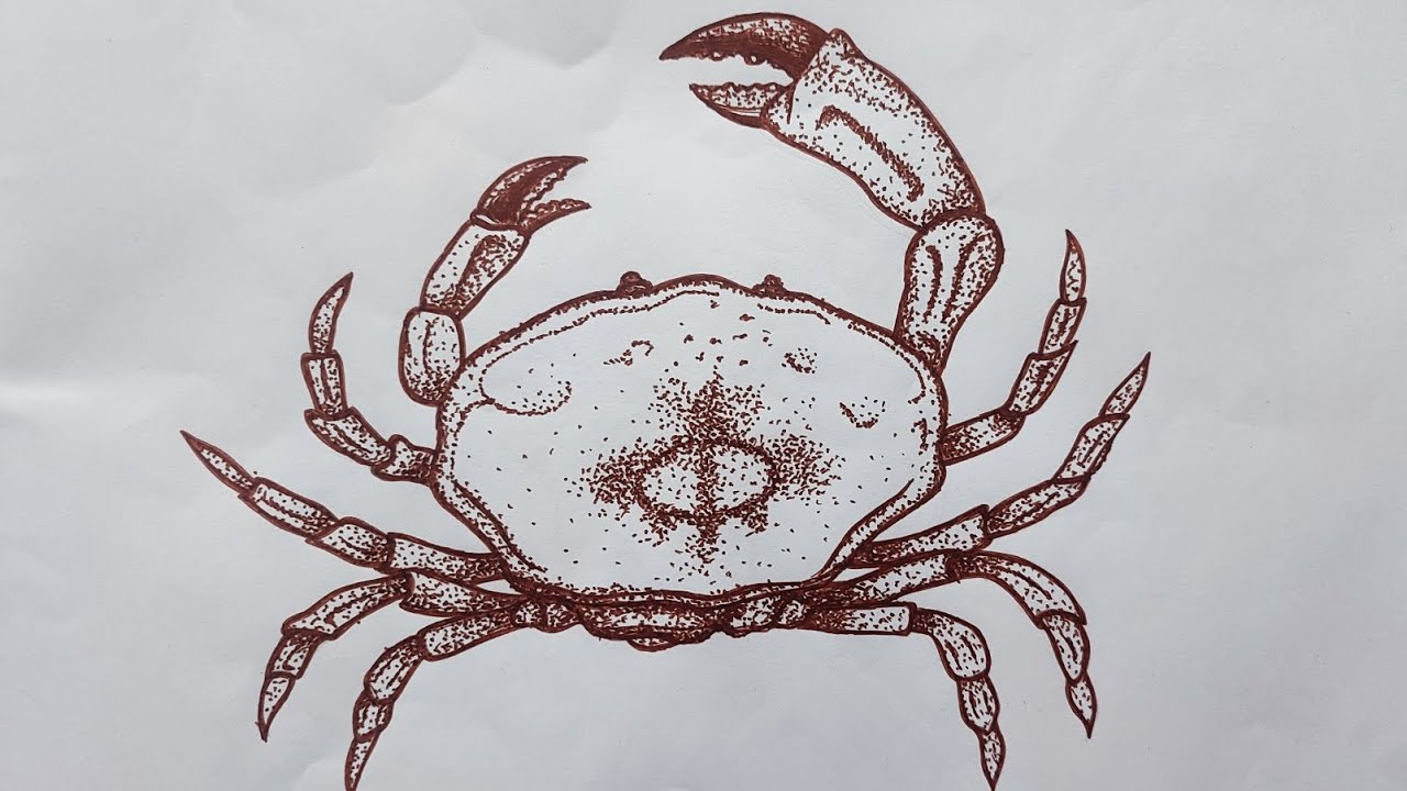Realistic| Crab| Color_Pen_Art| Simple| Stippling_Art|