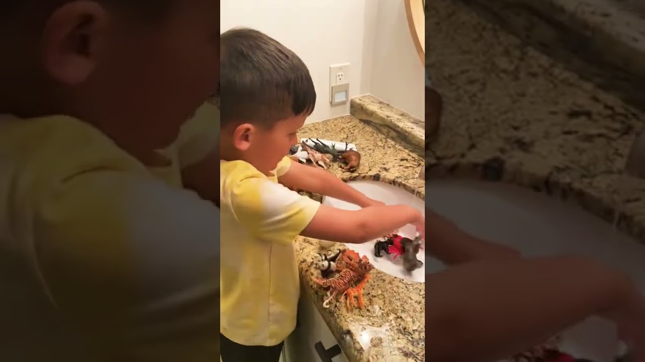 RIVER AND ANIMAL BATH TIME