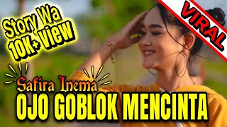Story Wa, Ojo Goblok Mencinta, Safira Inema, Terbaru 2020