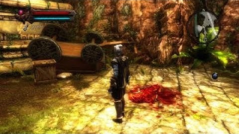 Kingdoms of Amalur : Re-Reckoning Audio Glitches