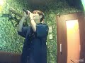 伊東歌詞太郎/パラボラ~ガリレオの夢~【うたスキ動画】