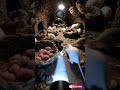 AI . You've Never Seen Inside a Mouse Burrow Like This #pov #shorts #animals #wildlife #shortsviral