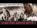 ቻይና እንዴት ከድህነት ወጣች How China Escaped Poverty ከድህነት እስከ ኀይል From Poverty To Power Ethiopia 