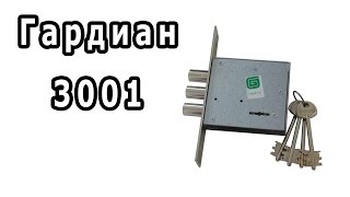 Обзор замка Гардиан 3001