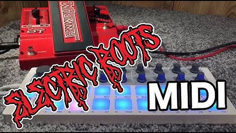 Electric Roots - Whammy 5/DT MIDI controller