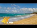 Maui Island, Hawaii - 4K Nature Documentary Film - Part 1