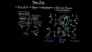 Basic Biochemistry & Nomenclature of SARS CoV-2 Mutations & Deletions
