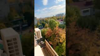 Солнечная погода ! . Краснодар