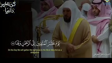 الشيخ ماهر المعيقلي تلاوات قصيرة مؤثرة استمع بقلبك_ حالات واتس اب2012