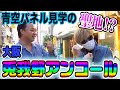 風●店密集地帯!秩序と煩悩が入り乱れる大阪兎我野の魅力とは!?
