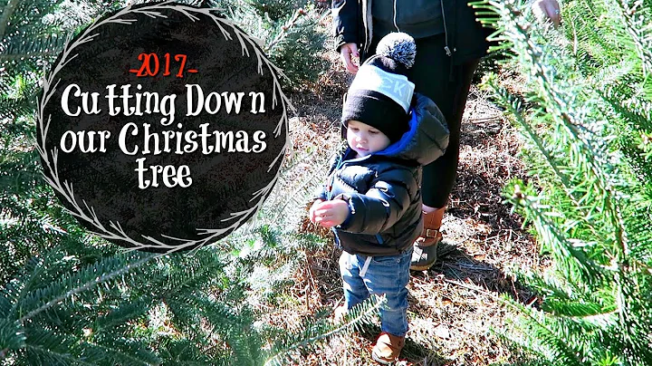 CUTTING DOWN OUR CHRISTMAS TREE!