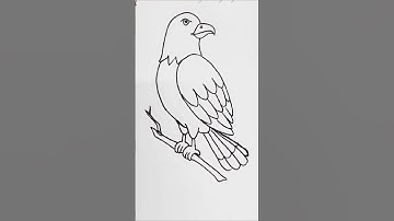 Eagle drawing | drawing of eagle | Eagle drawing easy | how to draw an eagle easy #shorts #drawing