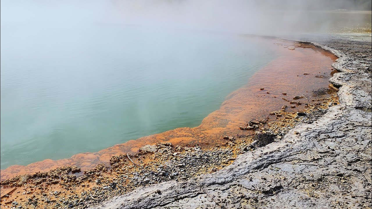 Roadtrip Archive 222 - Te Ranga to Rotorua to Waitapo and back - New Zealand - Driving Timelapse