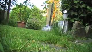extreme bottle target explosion