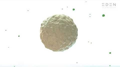 The Science Behind Sustaine Microencapsulation in Cedroz | Eastman