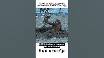 BAPAK INI PUNYA CARA UNIK MENANGKAP BURUNG CAMAR