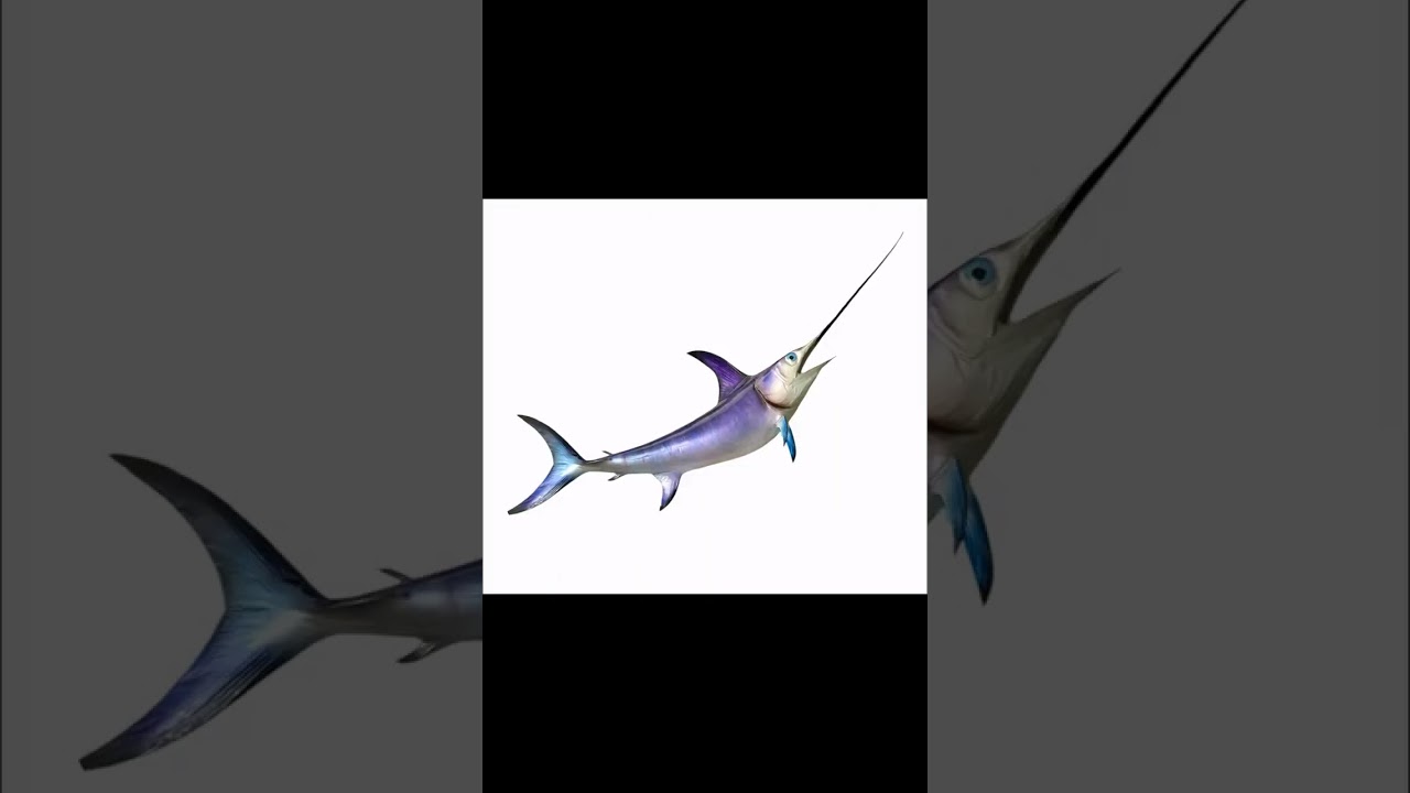 Imagine a Swordfish figure coming to life! Looking for the perfect decor? Visit our online shop.