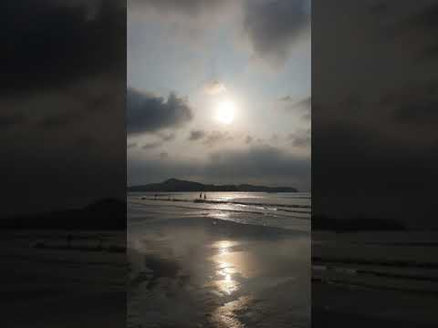 [TJ노래방라운지] 다이어리 - 나비