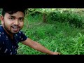 Aleya Khet Rena Ara Sakam | Santhali Vlog | Happy Life With Shuvo | Shuvo Saren |