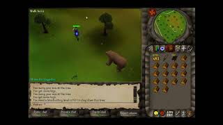 My Runescape History and Health Issues (2004Scape Gameplay)