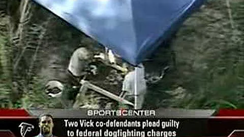 Michael Vick - Gruesome Details Emerge in Dog Figh...