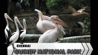 Chennai Famous Guindy National Park Chennai | Guindy Park