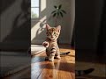 🐾 A kitten is waving at you! The cutest greeting you'll see today 🥺