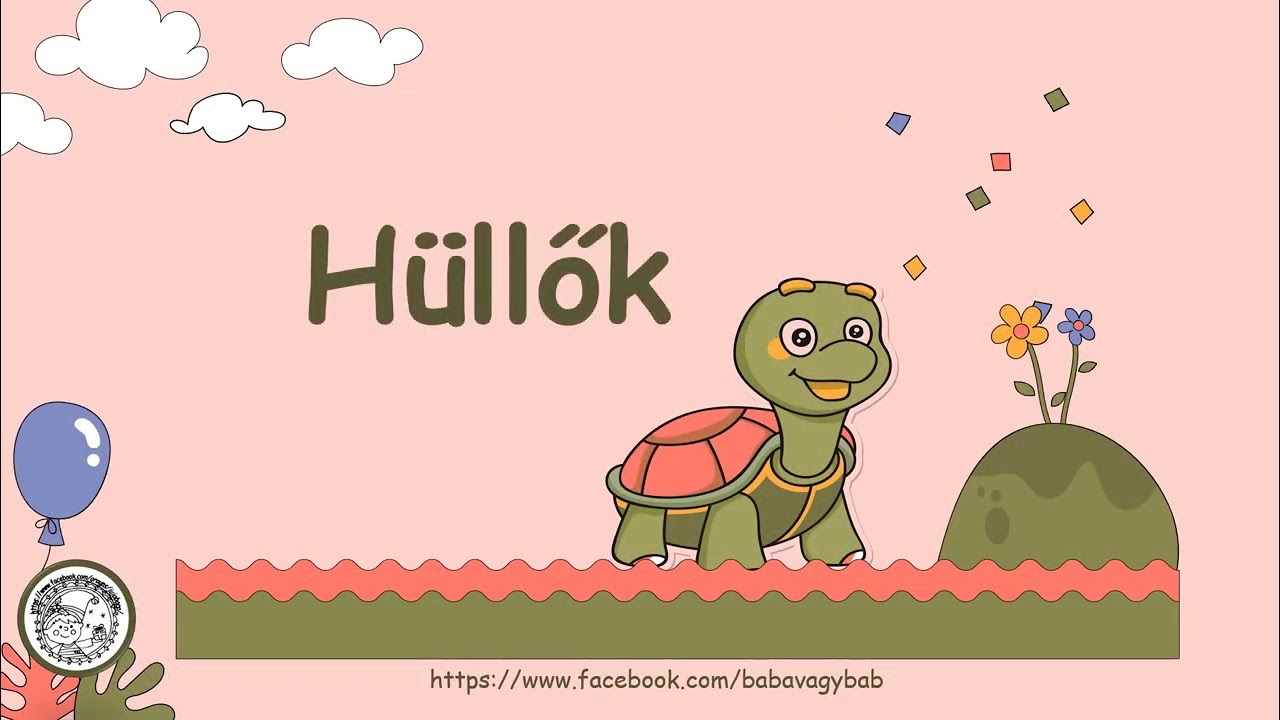 Hüllők és kétéltűek