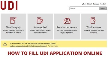 How to fill UDI application online step by step