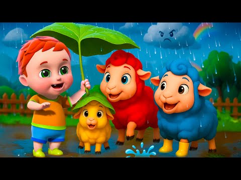 Rain Rain Go Away ! (Animal Version ) | Baa Baa Color Sheep | Nursery Rhymes and Kids songs