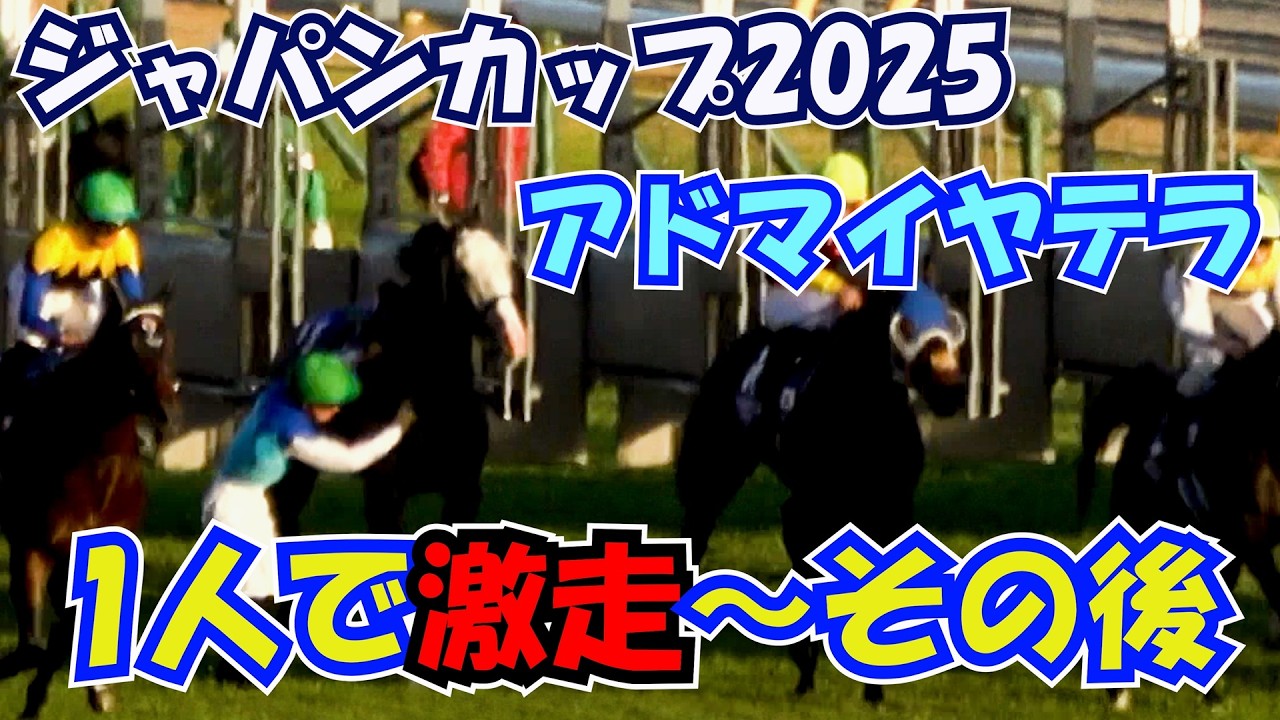 【ジャパンカップ2025】【落馬】アドマイヤテラが騎手を落とすも一人で勝つ 勝ったと思ってるのでウイニングランをしたがる! 現地映像 【放馬】