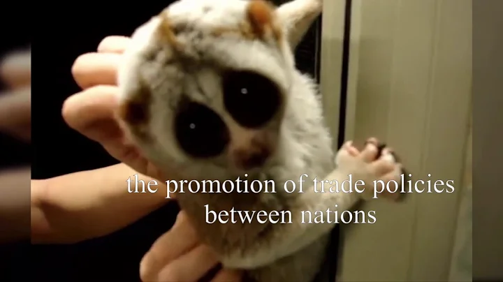 Professor Krusell - International Relation Video b...