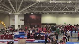 Xcel Diamond Twisted Moose 2023 - Vault2