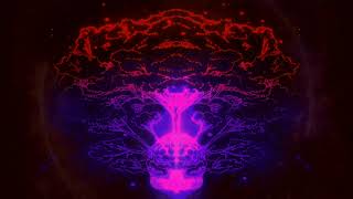 Neurological Health [Improve cognition; Restore Memory] A Quest To Restore Cognition