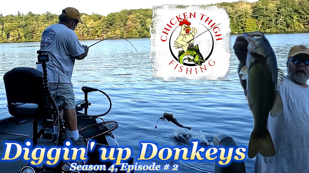 Bass Fishing Tips, Tackle, & Technique – Bassin' New England #spinnerbait #crankbait #bassfishing